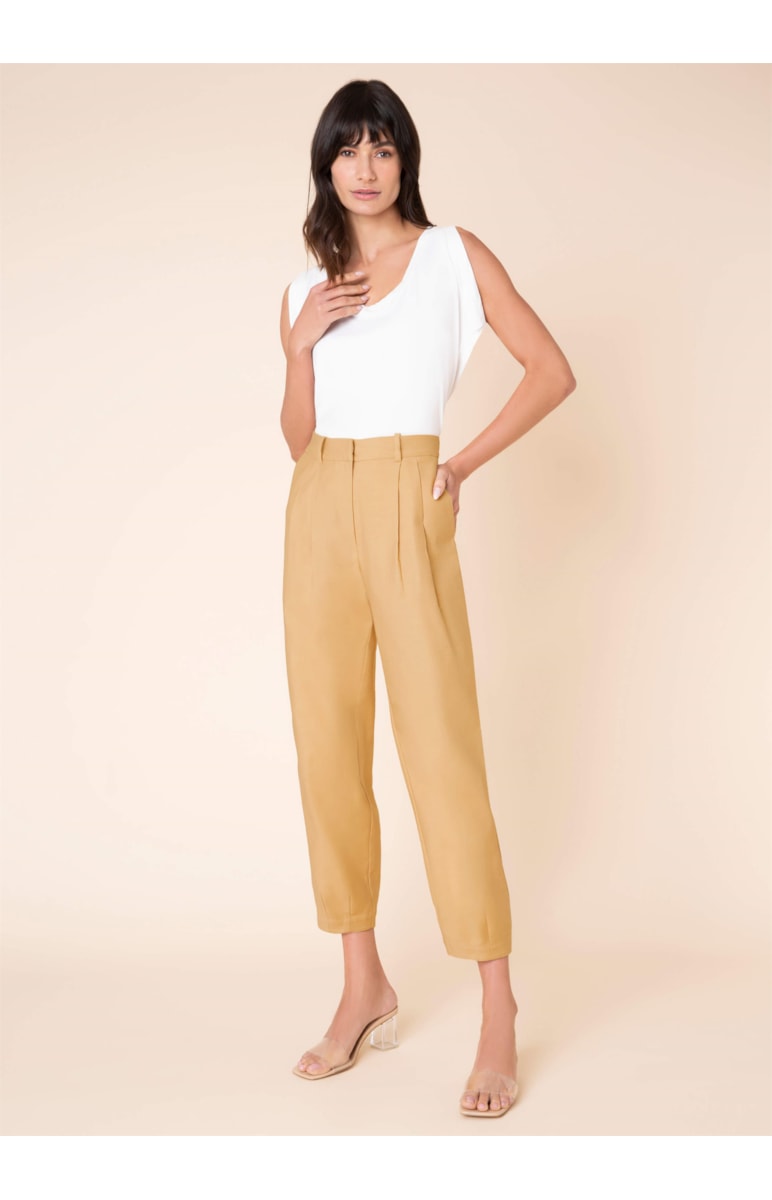 Calça Baggy Pregas Caqui
