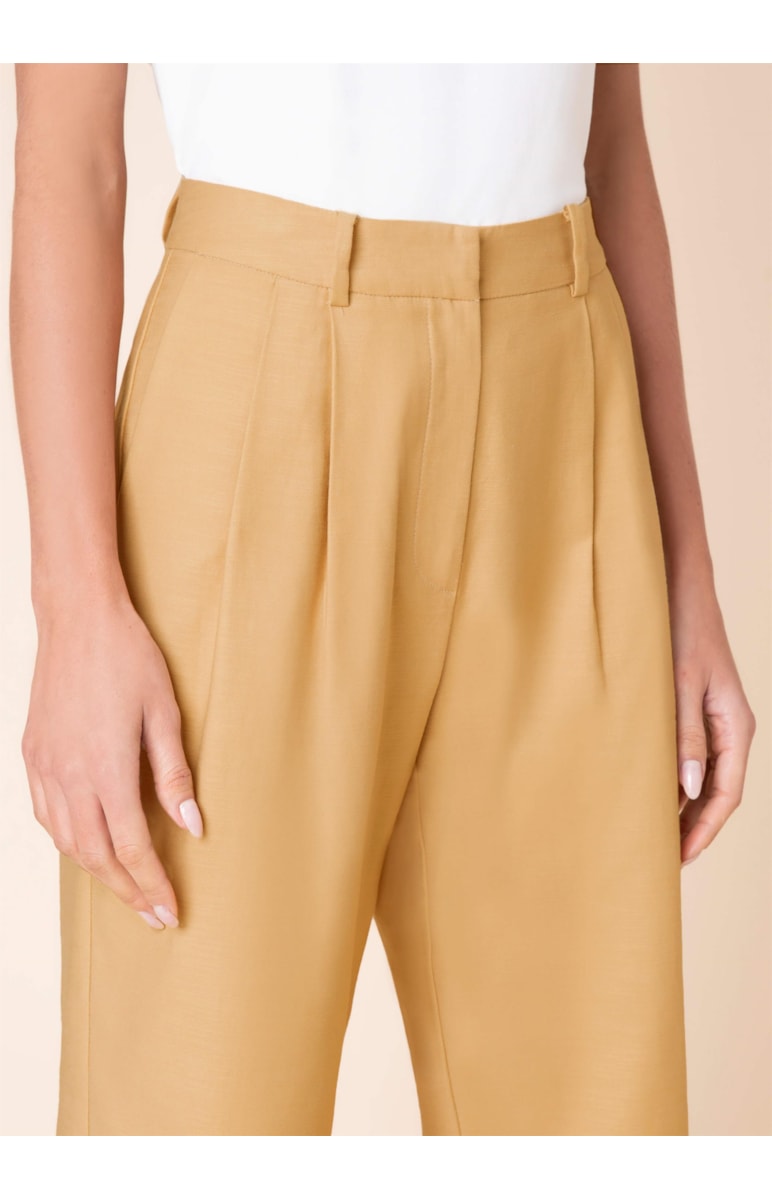 Calça Baggy Pregas Caqui
